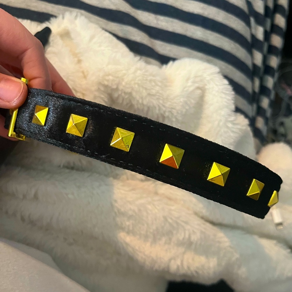 *BRAND NEW/ NEVER USED* 🆕🆕🆕 Petco M/L Black Velvet Gold Spiked Dog Collar